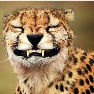 Meet your Posher, Adriana